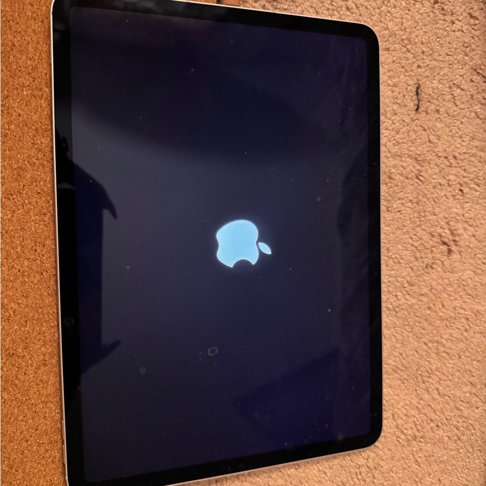 Apple iPad